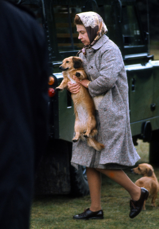 Królowa Elżbieta z psami w 1997 r.