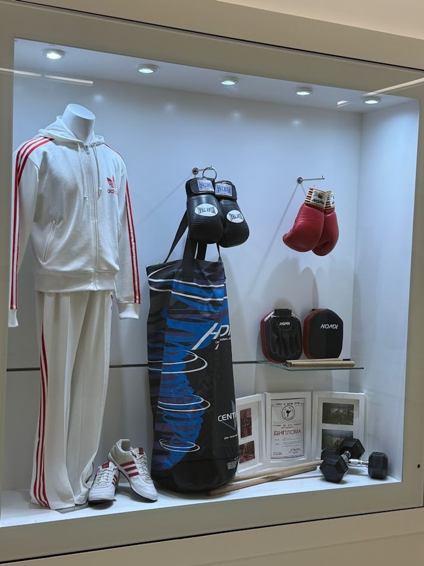 Tea Tairović u kući Tošeta Proeskog