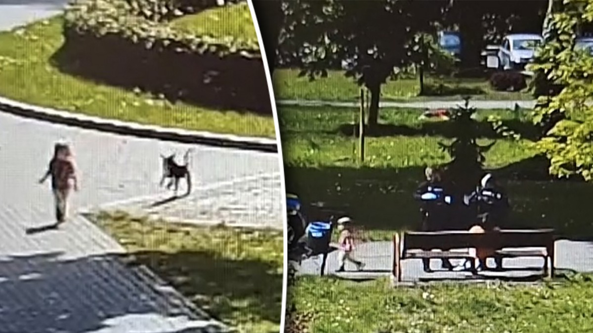 3-latka omal nie zginęła pod kołami aut. Matka przyznała, że... "wciągnęła kreskę"