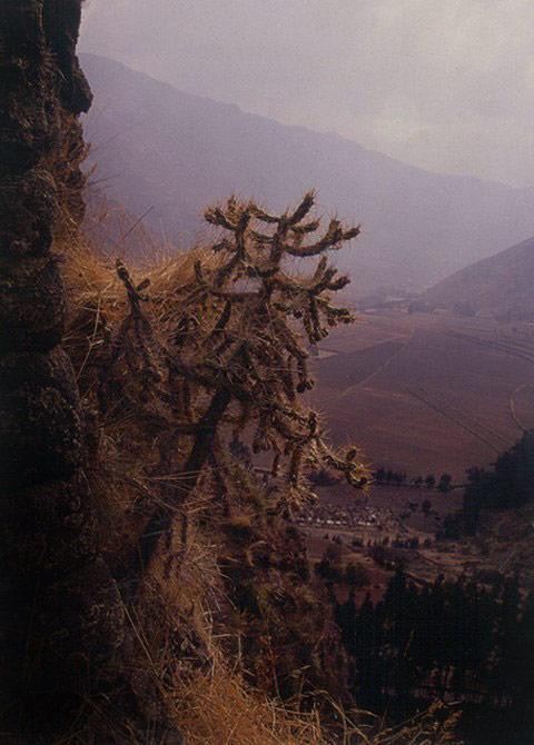 Galeria Peru – pępek świata i Święta Dolina, obrazek 57