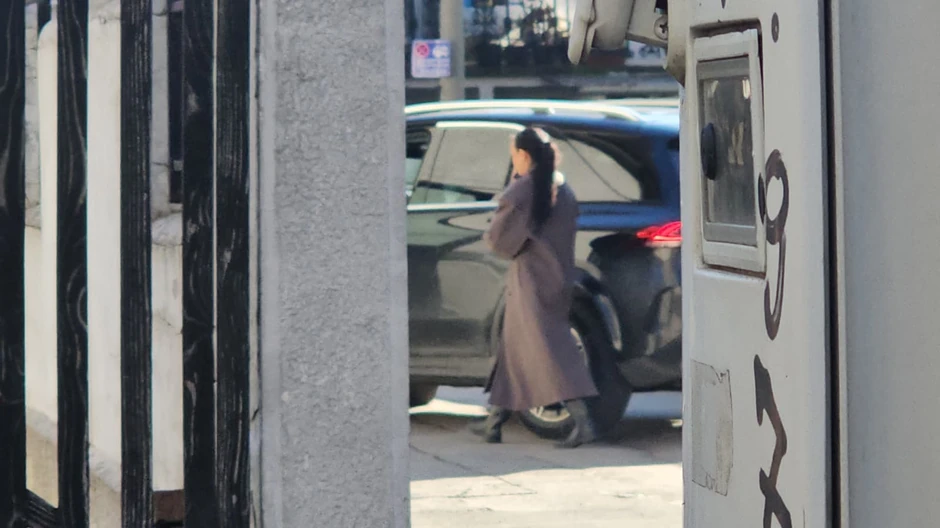 Trudna Edita Aradinović