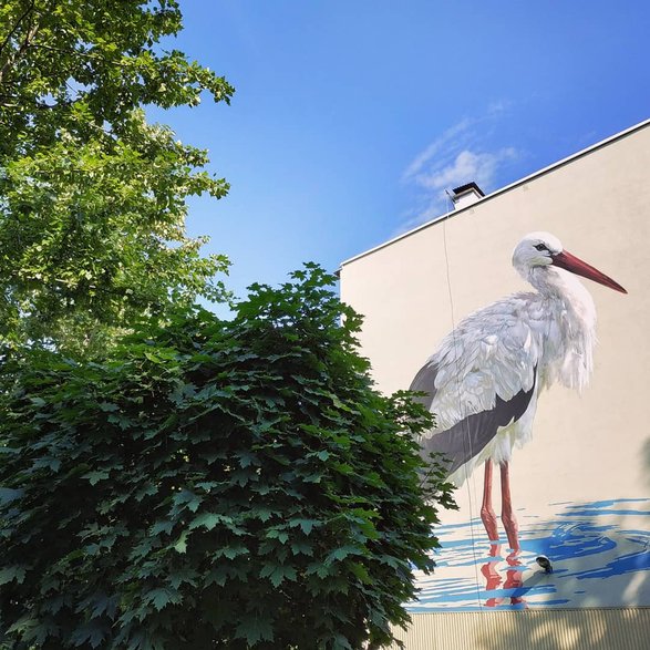 Ptasie murale w dzielnicy Bieżanów