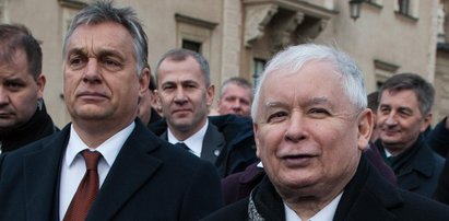 Orban zdradzi Kaczyńskiego?! „Może dogadać się z największym wrogiem prezesa PiS”