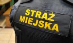 Straż miejska w Tarnowie umarza mandaty na święta 