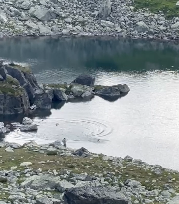 Turisti sa kúpali vo Veľkom Žabom plese.