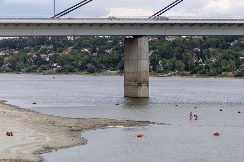 Dunav kod Novog Sada 24. jula | Foto: REUTERS/Djordje Kojadinovic