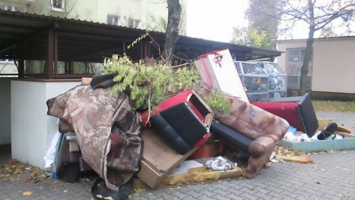 Kłopoty ze śmieciami, które piętrzą się w śmietnikach i których nie ma kto odbierać - ma całe miasto. Ale to jak zwykle Wilda postanowiła się zorganizować i skutecznie walczyć ze śmieciami. Jak?