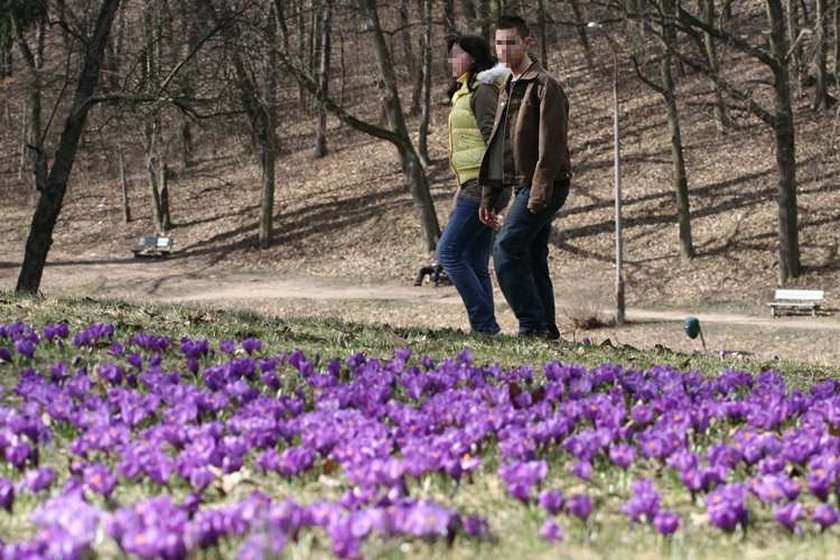 Prognoza pogody. Za tydzień 20 stopni! Prawdziwa wiosna!