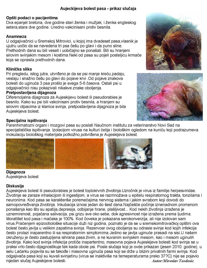 Kliknite za uvećanje (+)