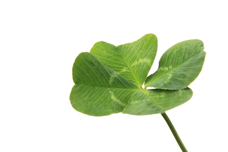 Co robić dzień przed maturą?