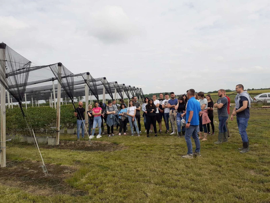Branislav je počeo svoj pionirski poduhvat kad niko nije znao kako treba uzgajati borovnice