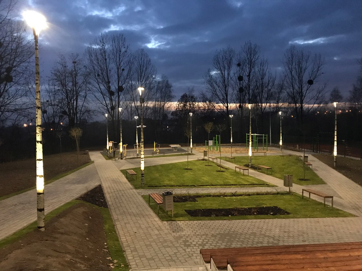 Słupy Designpole wzór brzoza, CKU Wodzisław Śl