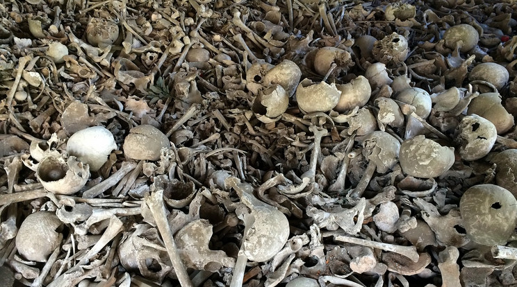 Emberi csontokat találtak Gyulán /Illusztráció: Pixabay