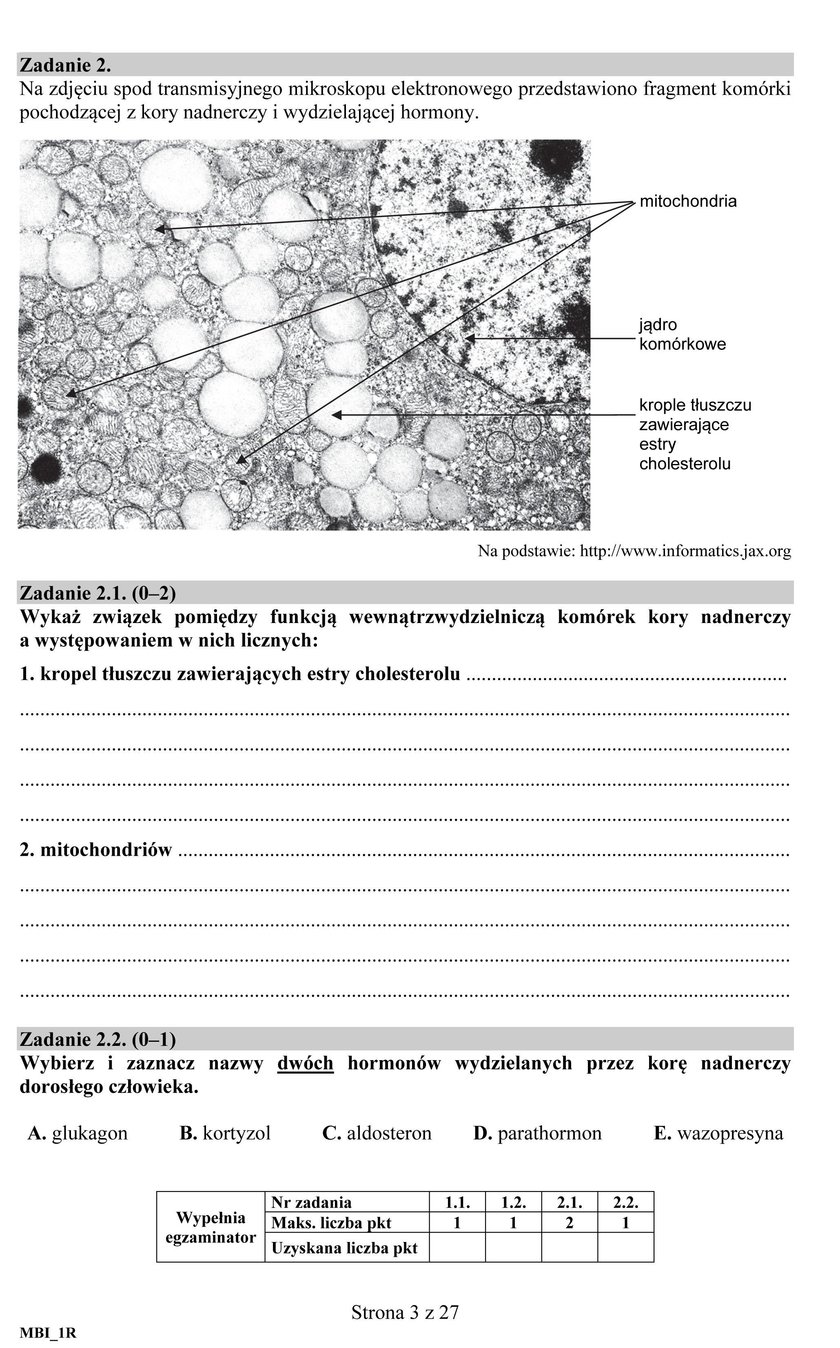 Matura 2018: Biologia. Odpowiedzi i Arkusze CKE. Biologia