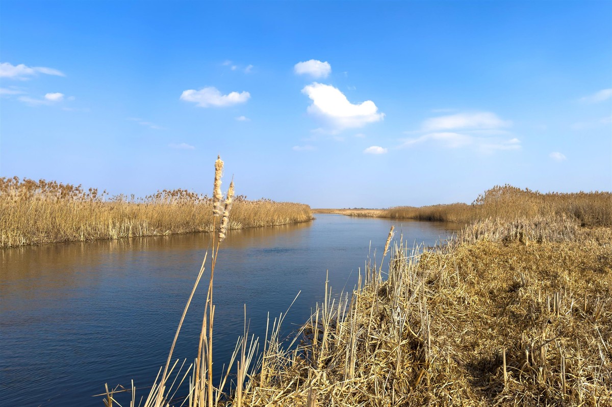 Wielkopolska. The 15-year-old drowned in Prosna. He went to fish