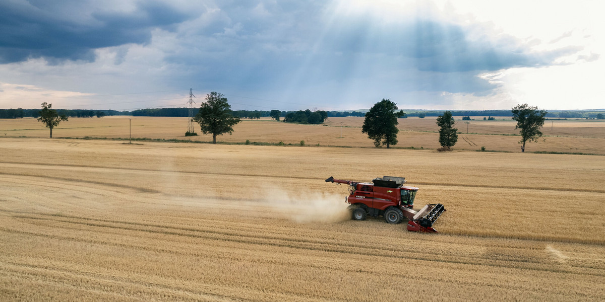Ten rok może być rekordowy, jeśli chodzi o zbiory zbóż.