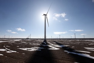 Tauron chce rozwijać odnawialne źródła energii