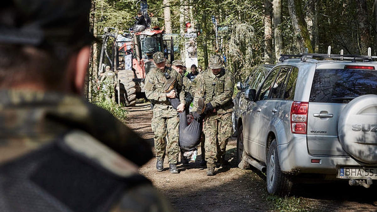 Puszcza prostet 29.08