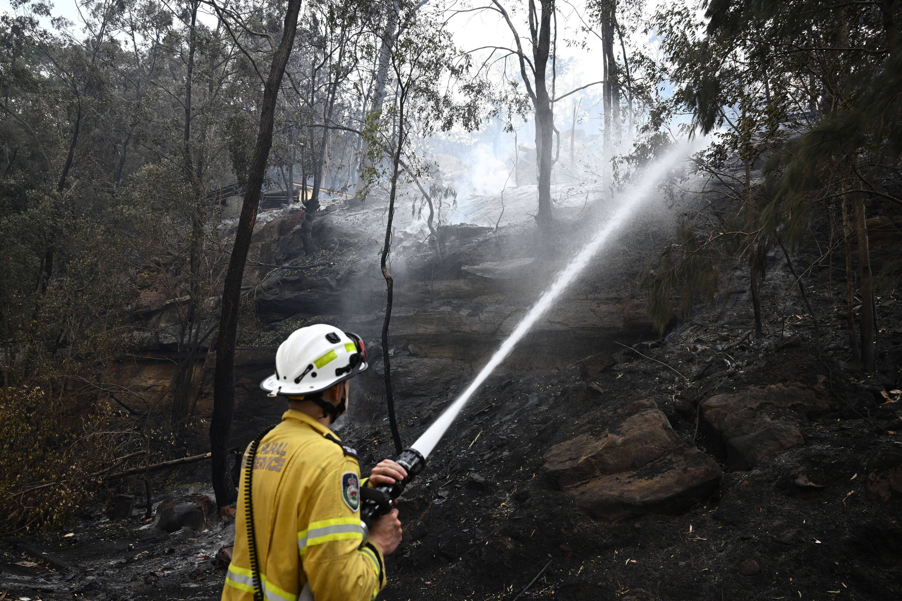 Pod Sydney płoną domy: Ponad 50 pożarów buszu zagraża 350 tys. mieszkańców