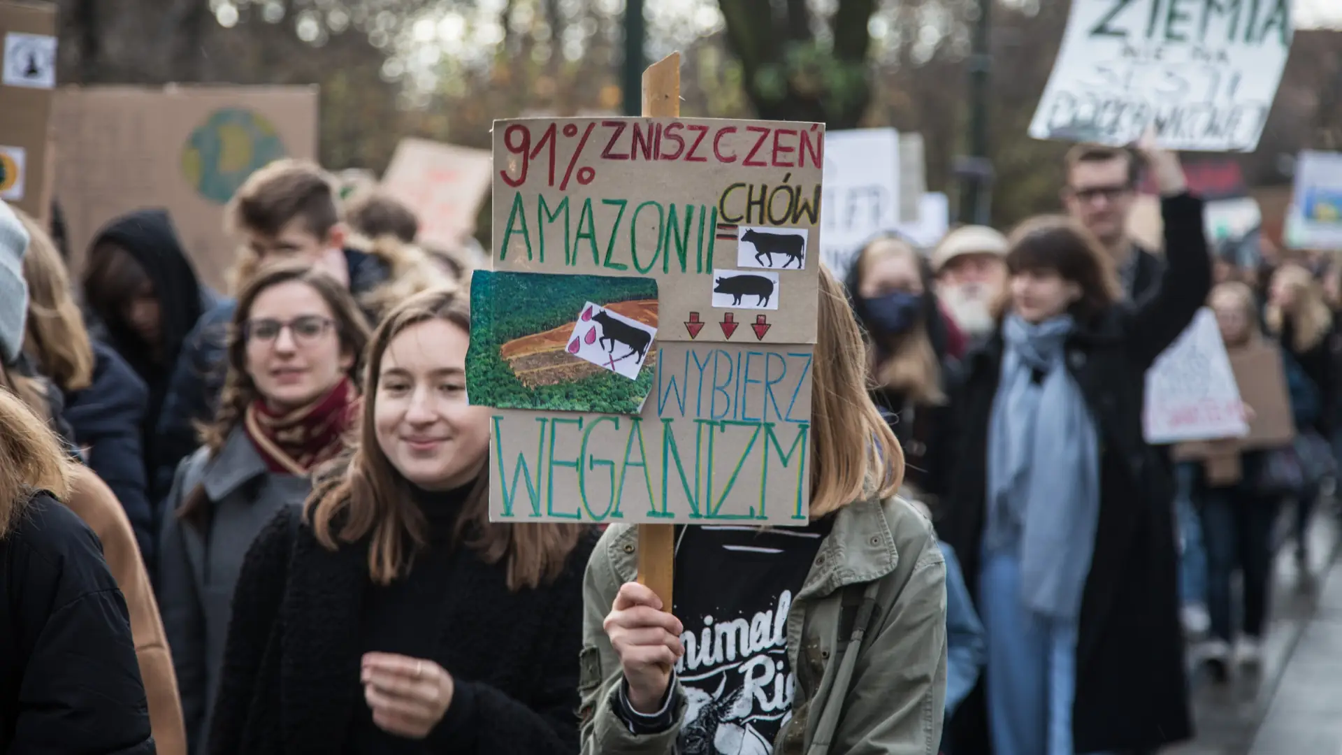 Weganie i narkomani. Jak redaktorzy TVP Info nie zrozumieli artykułu BBC