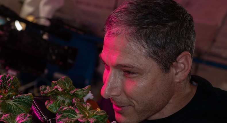 NASA astronaut Michael Hopkins smells extra dwarf pak choi plants growing aboard the International Space Station.
