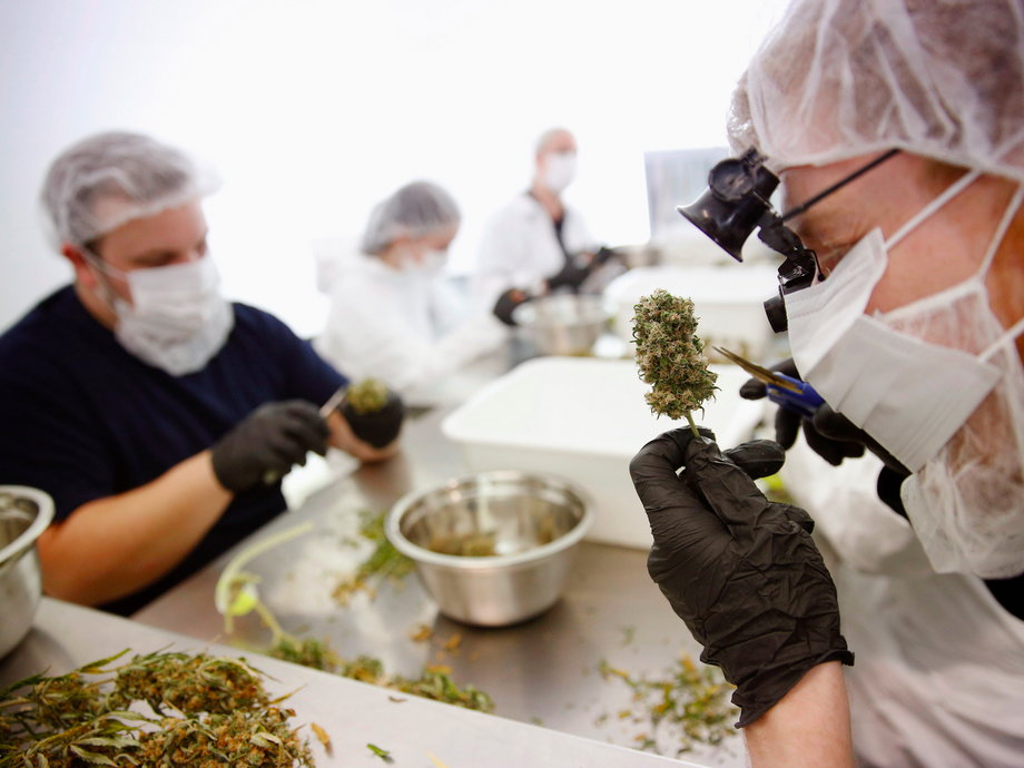 Workers at Tweed Marijuana Inc., a Canopy sub-brand.