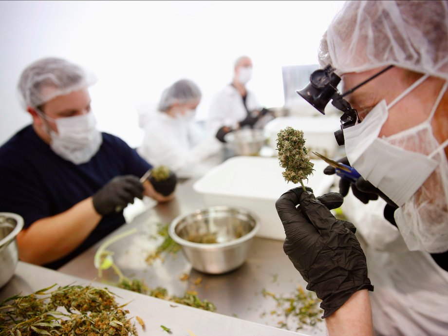 Workers at Tweed Marijuana Inc., a Canopy sub-brand.