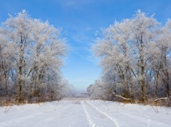 Idzie rekordowy mróz. Będzie -25 stopni!
