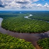 Amazonija