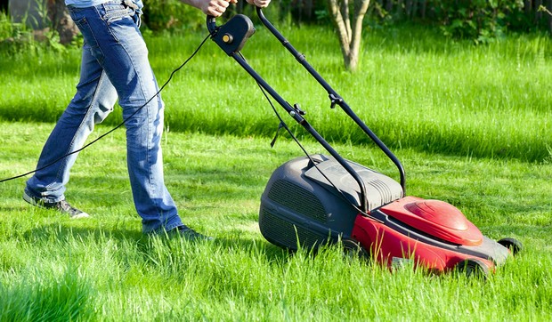 glupi shutterstock 88609330