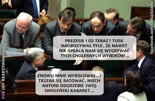 mem / PiSoff Reaktywacja