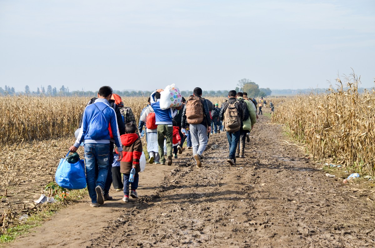 Schlechte Nachrichten für Polen. So will ein deutscher Politiker mit illegaler Migration umgehen