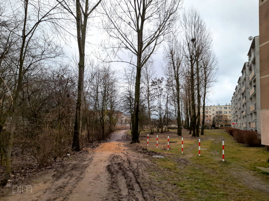 Nowy park powstanie niedaleko os. Łokietka fot. PIM