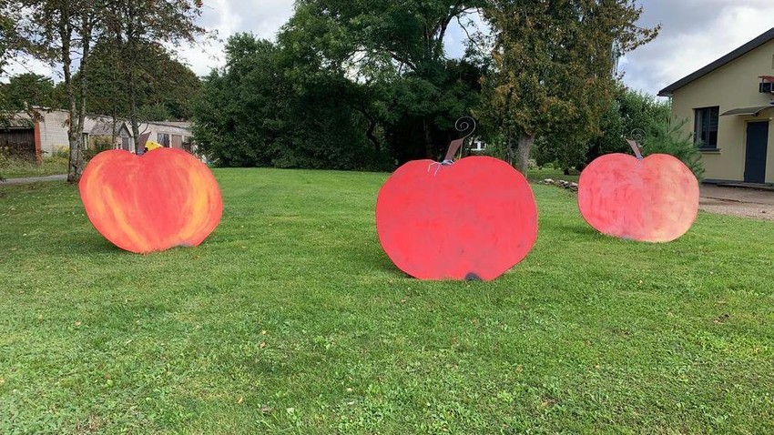 Jabuke su simbol ovog grada | Foto: BBC/Dejana Vukadinović