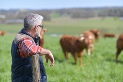 Nieuczciwe firmy pożyczkowe przeniosły się na wieś. Polują teraz na rolników