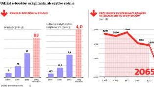 Rynek e-booków w Polsce rośnie szybko. Ale mógłby szybciej