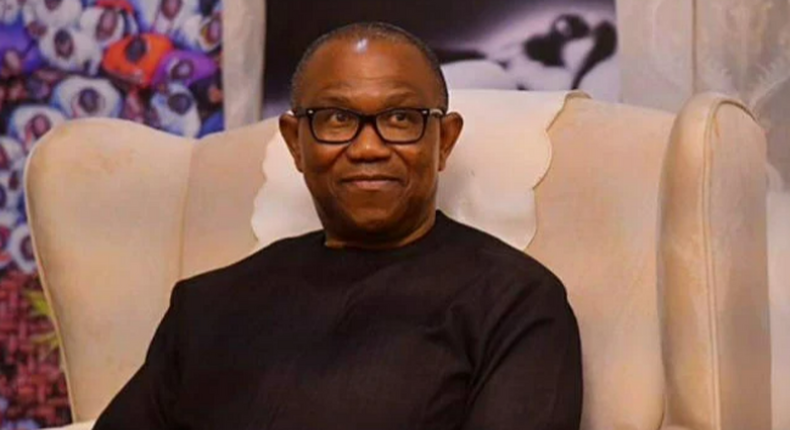 Peter Obi was the Labour Party's Presidential Candidate in the last election. [Punch]