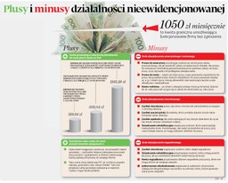 Firma na próbę: Plusy i minus tego rozwiązania