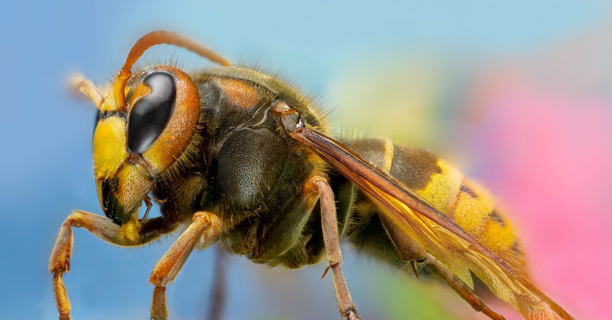 Adrenalina jak defibrylator. Powinna być w każdej szkole