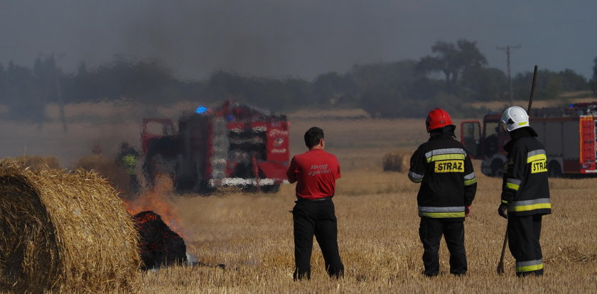 Podpalacz grasuje w Łodzi? Pożar pola na Górnej