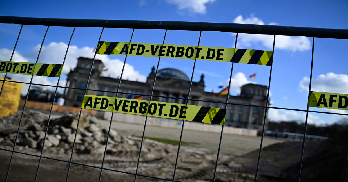 Hamburg-B-rgerschaft-beschlie-t-Vorsto-f-r-AfD-Verbotsverfahren