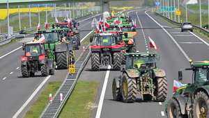 Nagły zwrot sytuacji dla polskich rolników. Pomogła pogoda