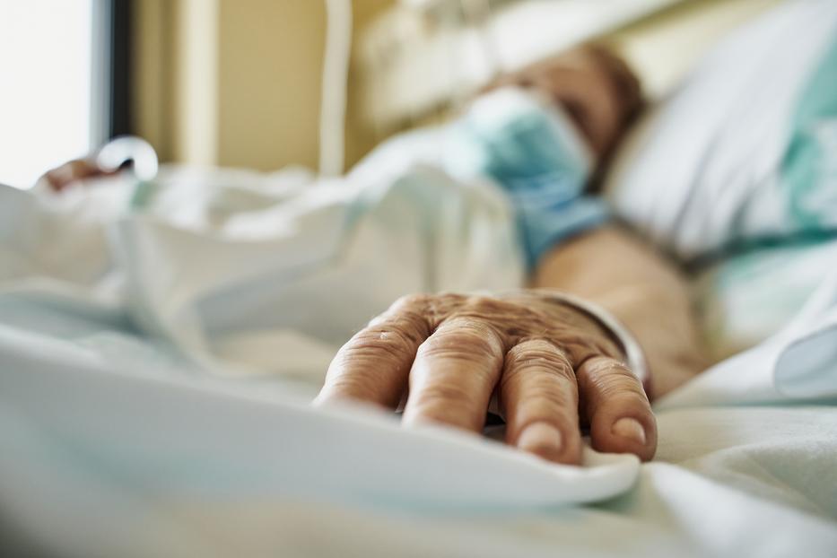 Kórházban lábadozik A nagy házalakítás műsorvezetője Fotó: Getty Images