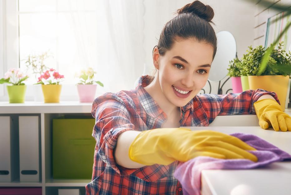 Ezeket is takarítsd! /Fotó: Shutterstock