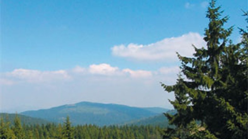 My Window To The World Turbacz Gorce Poland Natural Landmarks Poland Places