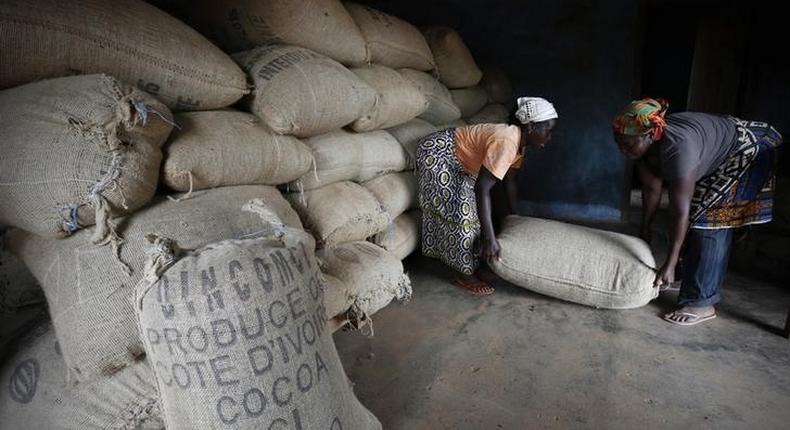 Women from a local cocoa farmers association called BLAYEYA lift a sack in a cocoa warehouse in Djangobo, Niable in eastern Ivory Coast, November 17, 2014. REUTERS/Thierry Gouegnon