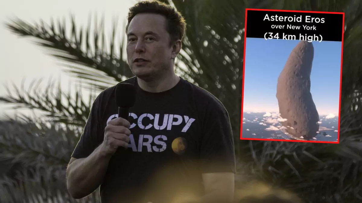 Elon Musk ostrzega przed uderzeniem wielkiej asteroidy w Ziemię (screen: Rainmaker1973/Twitter)