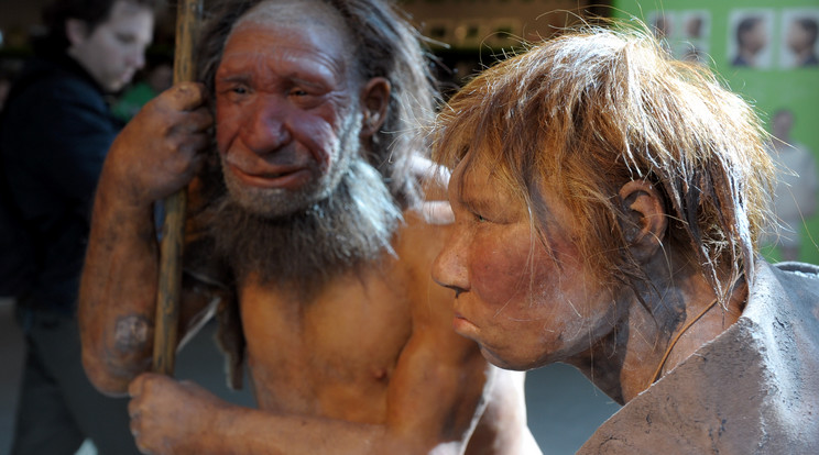 A rekonstrukció szerint ilyenek lehettek a neandervölgyi férfiak és nők/Fotó: AFP