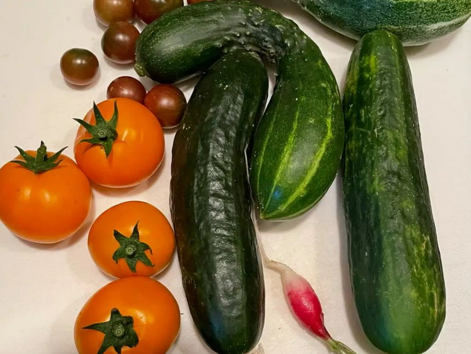 Jim Perkins uprawia różne rodzaje pomidorów, czy arbuzów, a także inne owoce i warzywa