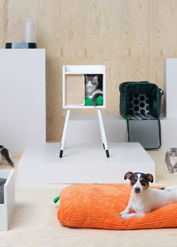 Ikea zatroszczy się również o domowe zwierzęta - powstała kolekcja gadżetów  dla psów i kotów - Noizz